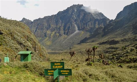 5 Days Rwenzori Mountains Trekking And Climbing Safari In Uganda Peak