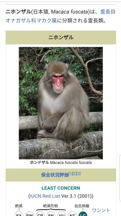 Kjclub 朝鮮半島に猿が存在しない理由