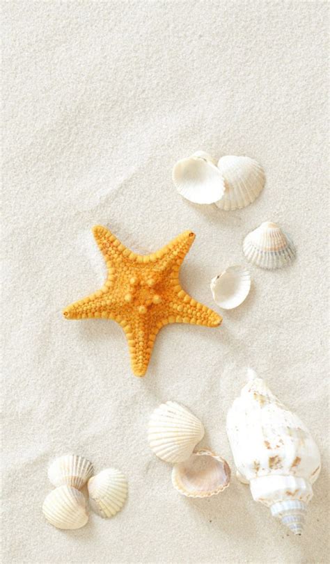 White Sand Abstract Nature Shells Starfish Hd Phone Wallpaper Peakpx