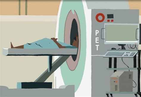 Pet Scans How Clever Chemistry Uses Radioactivity To Help Diagnose