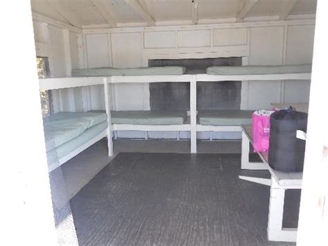 Rent a kayak and explore pine island or cayo costa. 6 person bunk cabin interior - Picture of Cayo Costa State ...