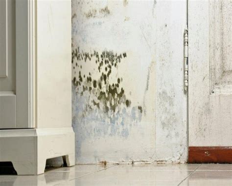 Why does my bedroom smell musty. Why Does My House Smell Musty? | EnviroVent