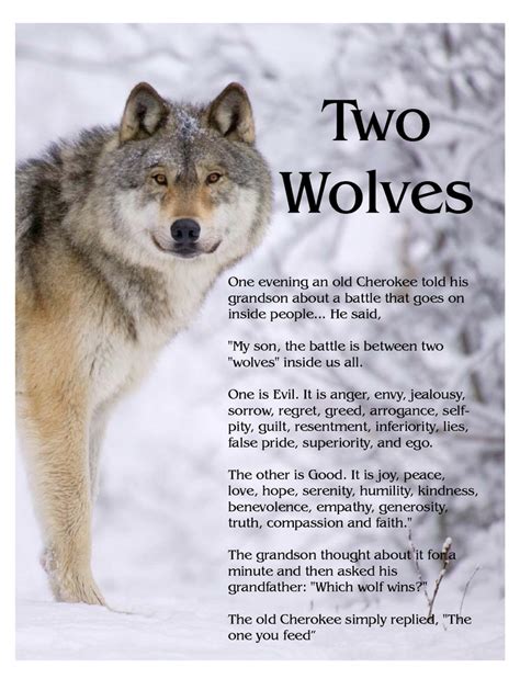 Wolf, any of two species of wild doglike carnivores. Two Wolves Fighting Within-New Earth Energies Blog-New ...