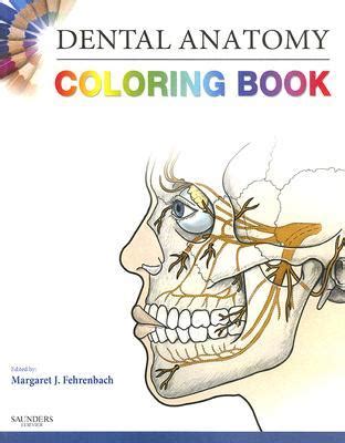 View and read dental anatomy coloring pdf ebook free online before you decide to download by clicking read and download button. Dental Anatomy Coloring Book by Margaret J. Fehrenbach