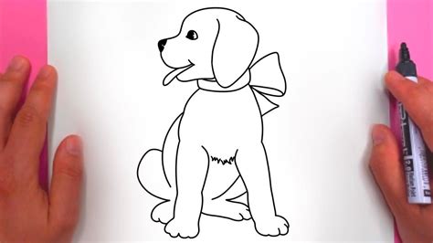 Cum Se Deseneaza Un Caine Labrador Cu Funda Roz Usor De Desenat 🐕 How