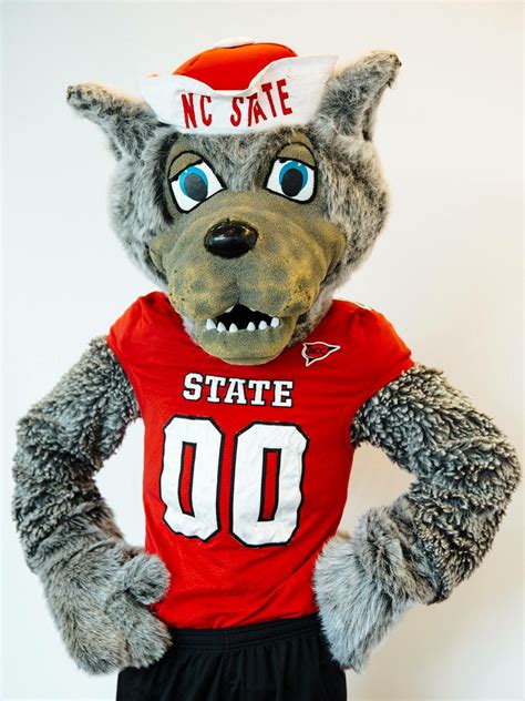 Pin by Margaret Surratt on NC State Mascots | Nc state, Nc state wolfpack, Nc state university