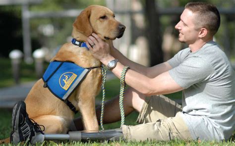 Dog Wish Psychiatric Service Dogs Transform Lives Of