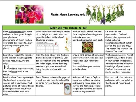 Plant Homework Grid Teaching Resources