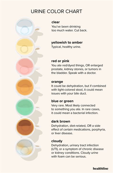 Urine Color Chart Whats Normal And When To See A Doctor