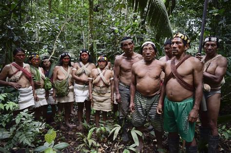 Caracter Sticas Del Bosque Tropical En El Amazonas