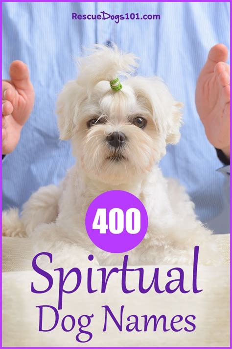 400 Spiritual Dog Names Spiritual Biblical Christian Dog Names Boy