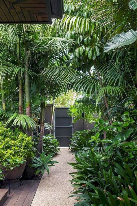 39 Best Tropical Garden Ideas Tropical Garden Design Palm Trees
