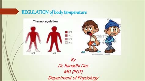 Regulation Of Temperature Of Human Body