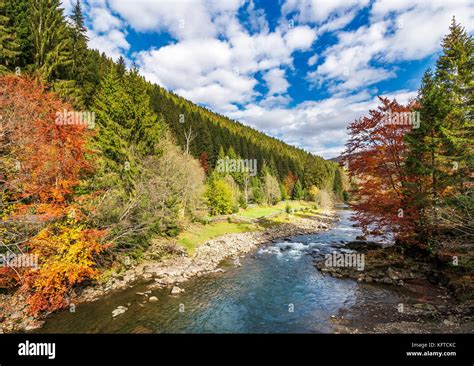 Gorgeous Autumn Landscape In Mountains Small River Flows Through Rural