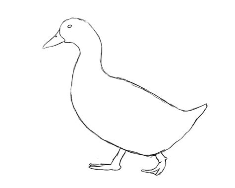 How To Draw A Duck Draw Central Duck Drawing Bird Drawings Drawings