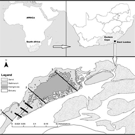 Location Of The Nahoon Estuary In East London South Africa Transects