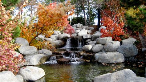 Autumn Boulder Creek Environment Fall Landscape Leaves Nature Outdoors