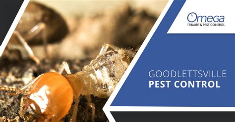 Maybe you would like to learn more about one of these? Goodlettsville Pest Control | 100% Satisfaction Guarantee ...