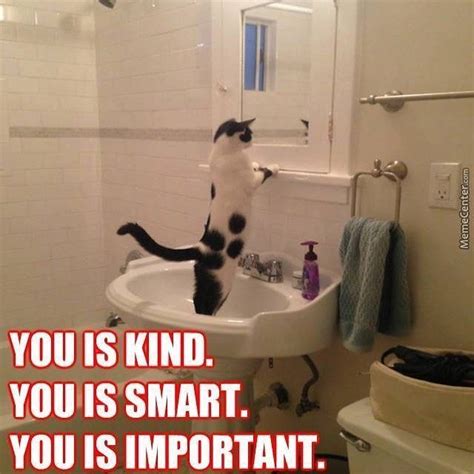 Be kind, for everyone you meet is fighting a hard battle.. You is Kind, You is Smart, You is Important. #Quote #BuildThemUp | Funny animals, Cats, Funny ...