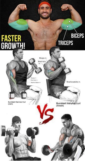 Biceps Forearm Workout Poster Laminated