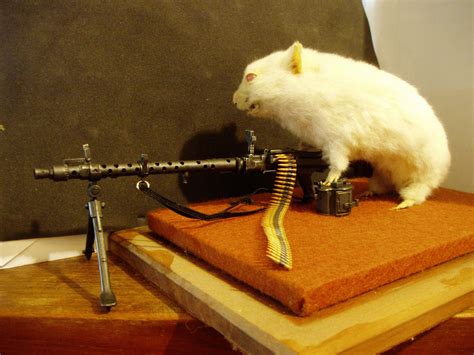 Highly Trained Combat Hamster Sets Up Mg34 In The Light Role During A