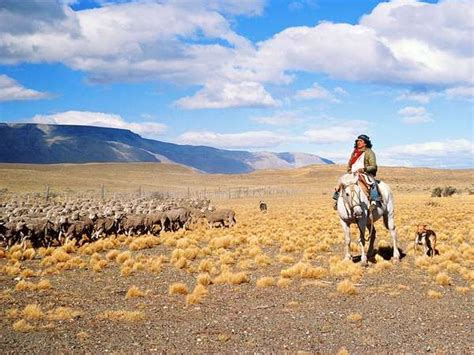 The Pampas Plain Argentina