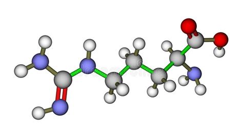 Amino Acid Arginine Molecule Stock Illustration Illustration Of