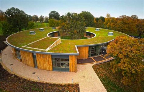15 Ideal Green Roof Plants And Why Its Amazing To Grow One Garden