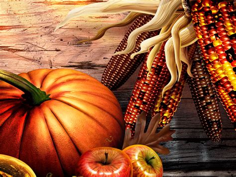 Free Download Thanksgiving Pumpkin Wallpaper Thanksgiving Pumpkin