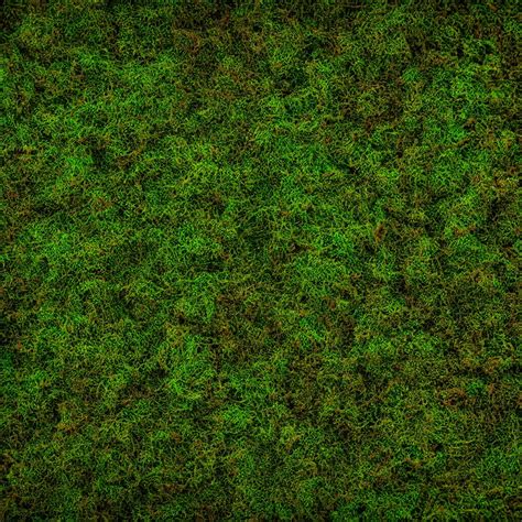 Moss Texture Material High Definition High Detail Stable Diffusion