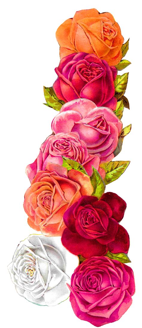 Antique Images Romantic Vintage Rose Shabby Chic Wedding Floral