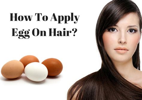 How To Apply Egg On Hair Lifestylica