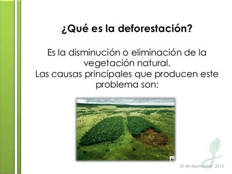 Aunque puede ocurrir la pérdida de la cubierta de. La Reforestación