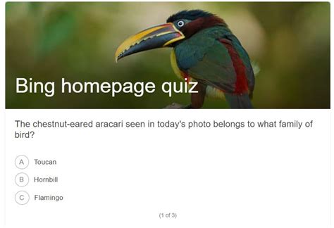 Bing Entertainment Quiz Play Now And Win Rewards