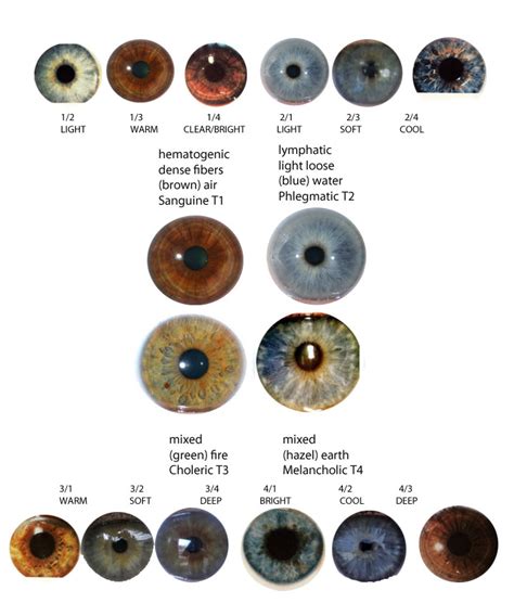 Eye Types Expressing Your Truth Blog