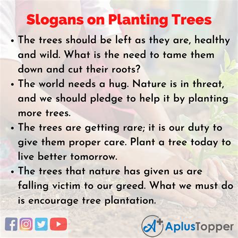Slogans On Planting Trees Unique And Catchy Slogans On Planting Trees