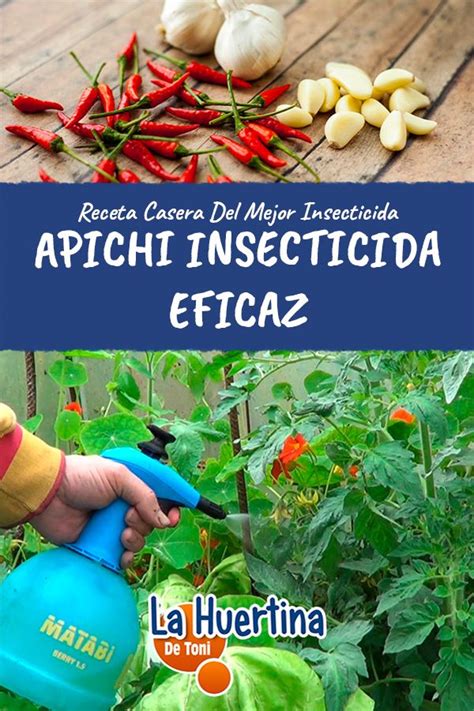 Como Preparar Insecticida Casero Apichi Eficacia Total Insecticida