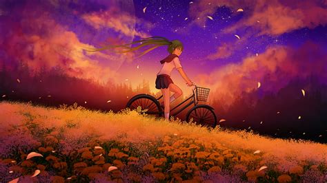 Hd Wallpaper The Sky Girl Clouds Sunset Flowers Bike The Moon