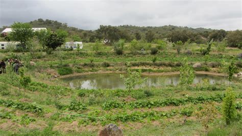 A rainwater harvesting landscape designed by holzer in tamera, portugal josef sepp holzer (born july 24, 1942 in ramingstein, state of salzburg, austria) is a farmer, an author, and an international consultant for natural agriculture. * SOIL * SUN * SOUL* : SEPP HOLZER WORKSHOP TAMERA,Portugal