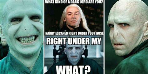 Harry Potter 25 Memes That Show That Voldemort Makes No Sense