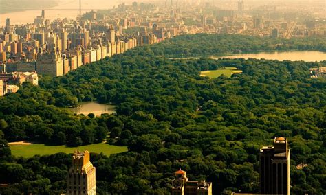 Central Park Summer Wallpapers Top Free Central Park Summer