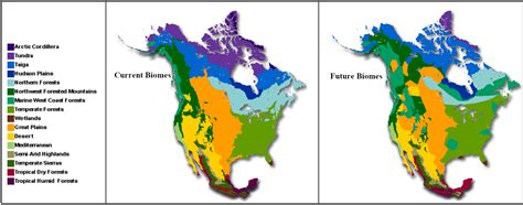 Biome Map Of North America Map Vector