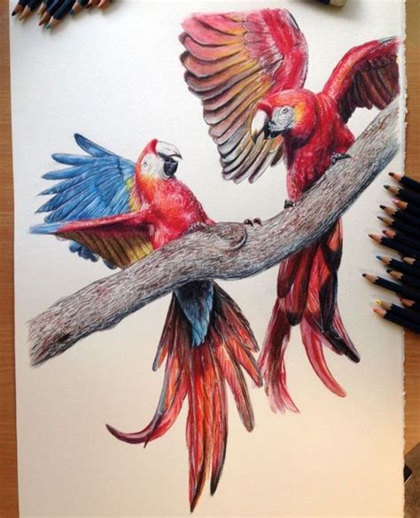 Dibujos De Aves Galería De Arte Taringa Pencil Drawings Of