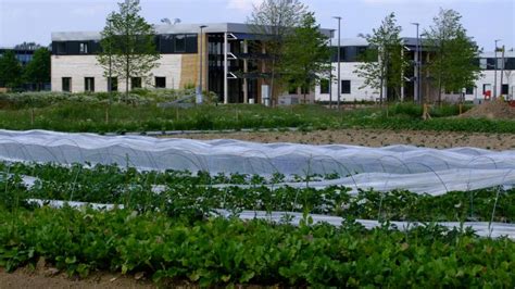 Le jardin de Cocagne ouvre grand ses portes!  La Voix du Nord