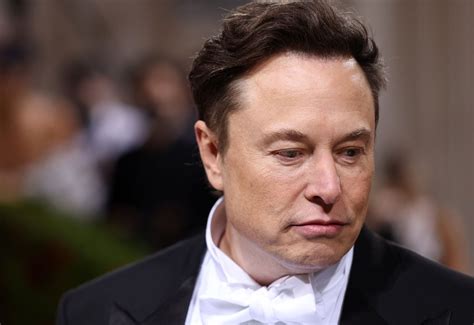 Elon Musk Calls Esg An Outrageous Scam After Tesla Was Removed From