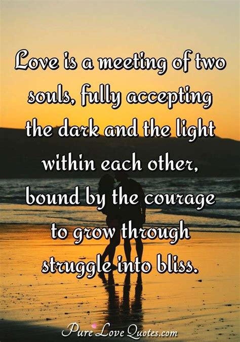 Love Is A Meeting Of Two Souls Fully Accepting The Dark And The Light Within Purelovequotes
