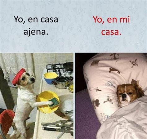 Memes Chistosos Memes Chistosisimos Memes Mexicanos Divertidos Memes Español Graciosos