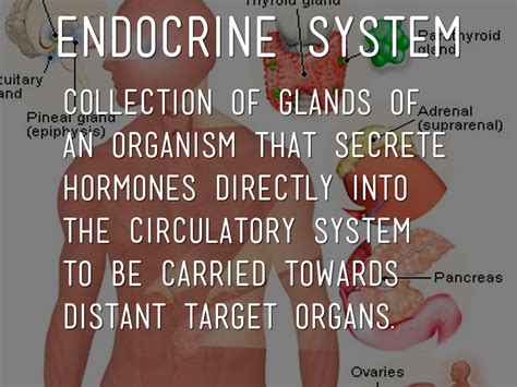 Biology Vocab by irubbdirtypotatos