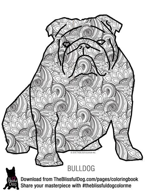 English Bulldog Coloring Pages Printable Learning How To Read