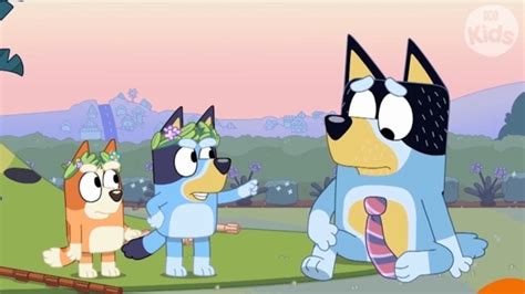 Bluey Drops Extra New Episodes For New Season The Advertiser